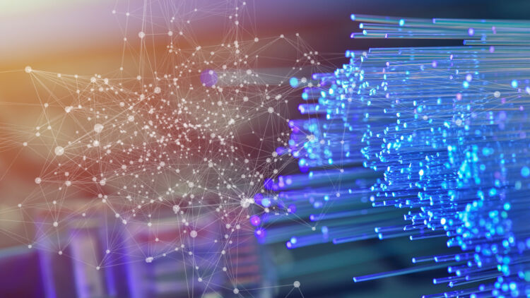 01312025 Fibre connectivity