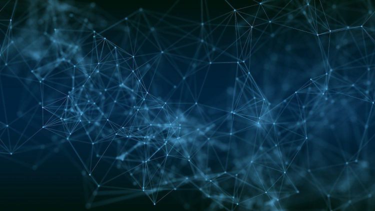 Network